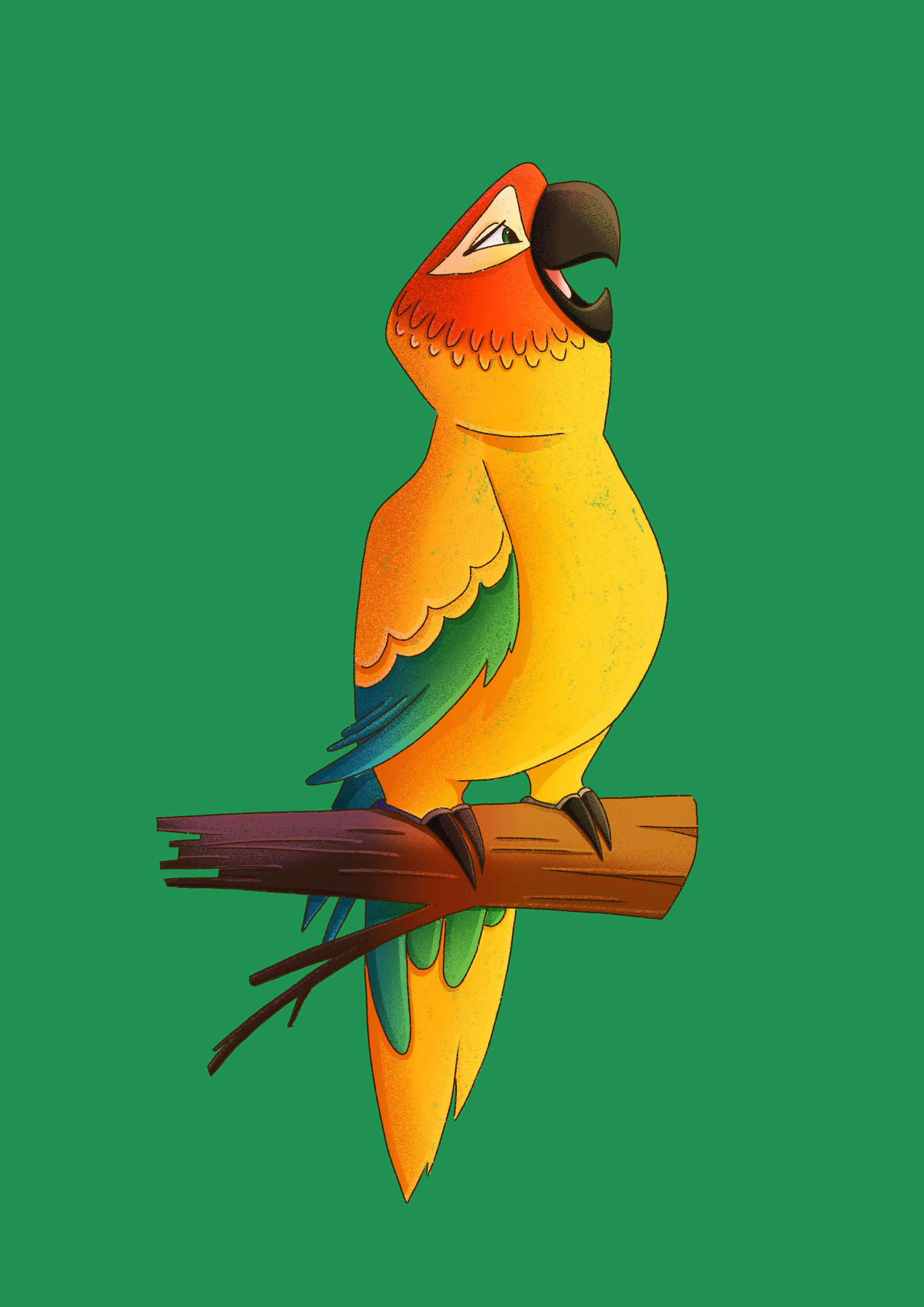 Projet Animaux - And Studio